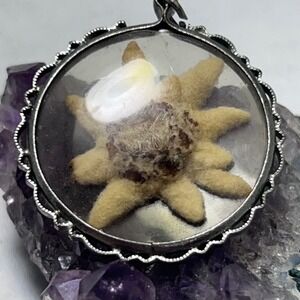 Vintage Preserved Edelweiss Flower Glass Pendant Silver Tone Alpine Souvenir